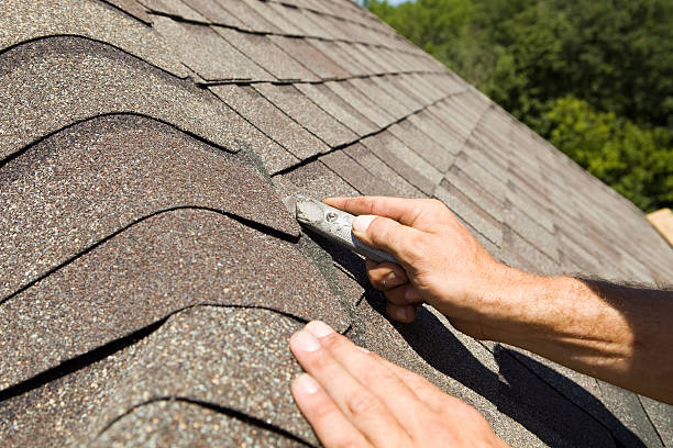 Trusted Roof Leak Repair Company in Putney, GA