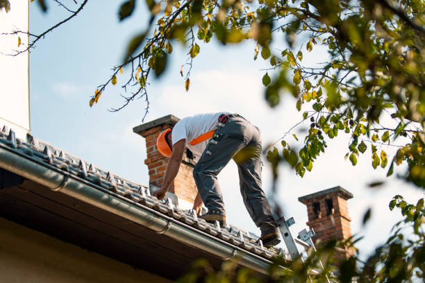 Trusted Roof Leak Repair Specialists in Clayton County, GA