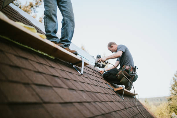 Trusted Roof Repair and Restoration Company in Cook County, GA