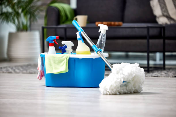 Best House Cleaning Services in Rochelle, GA
