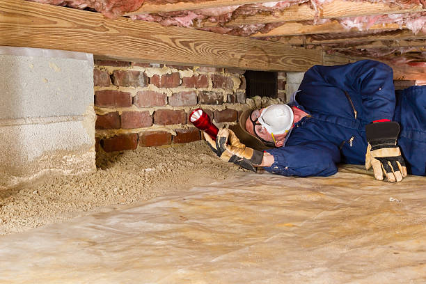 Clarvex Termite Inspections