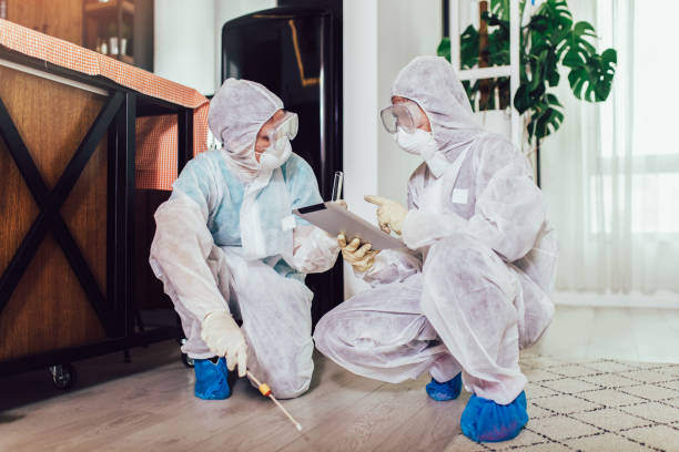 Top Bed Bug Treatment Solutions in Sodus, NY