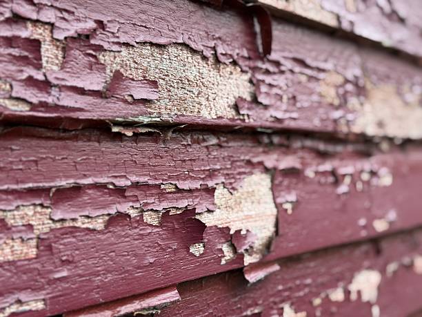Top House Painting Services in West Linn, OR