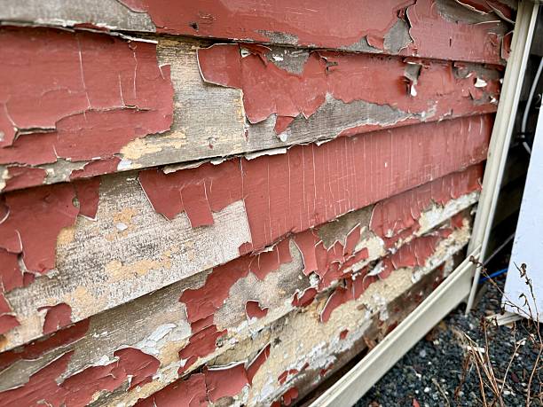 Best Interior and Exterior Painting Services in Waldport, OR
