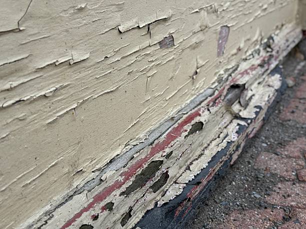 Best House Painting Specialists in Garden Home-Whitford, OR