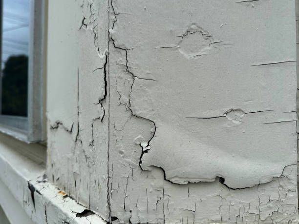 Trusted Professional Painting Contractors in Burns, OR