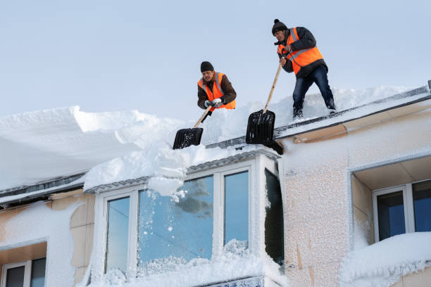 Expert Roof Snow Removal Specialists in Coon Rapids, MN