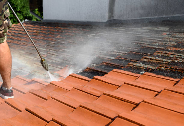 Certified Roof Soft Wash Cleaning Services in Bishopville, SC