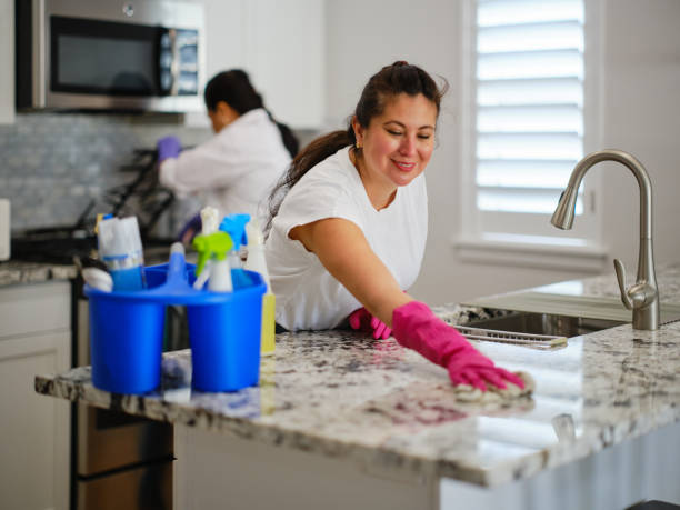 Top Professional Housekeeping Professionals in Silver Lake, FL