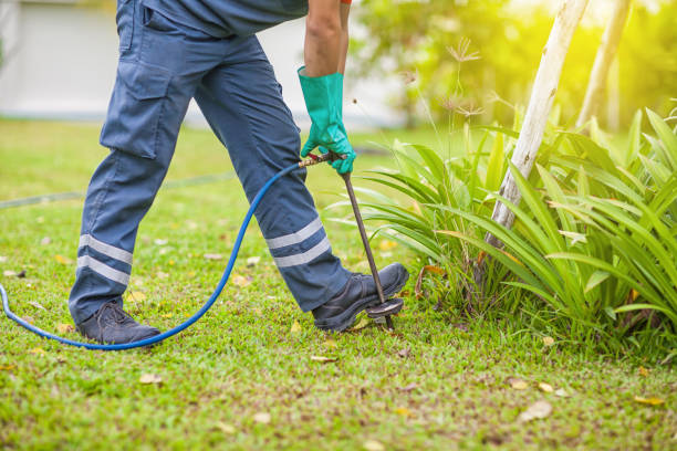 Best Termite Control Specialists in Oracle, AZ