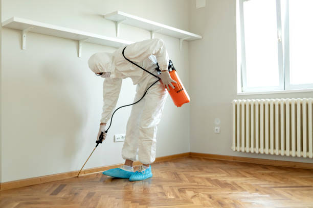 Trusted Termite Control Services in Wickenburg, AZ