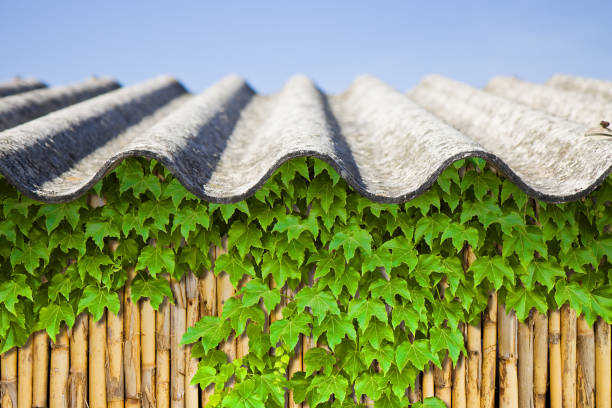 Trusted Pest Control Services in Lyndeborough, NH Arizona