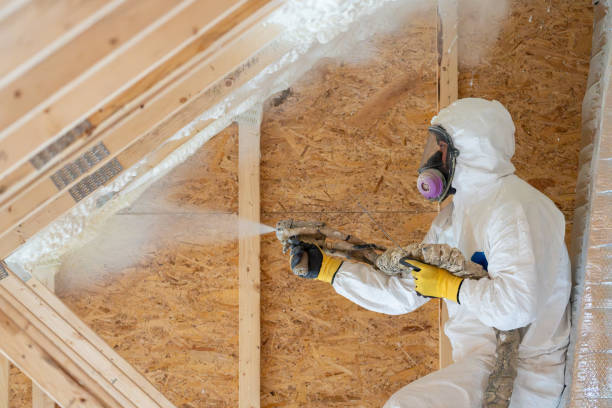 Professional Spray Foam Foam Services in Webb City, MO