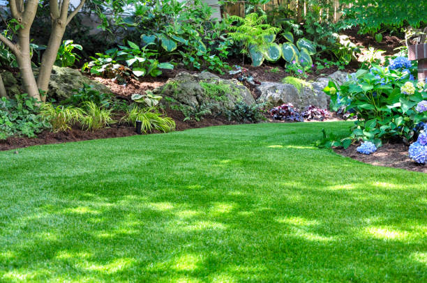 Trusted Artificial Grass Solutions in Fort Defiance, AZ