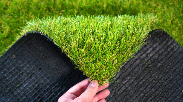 Trusted Artificial Grass Services in Bisbee, AZ