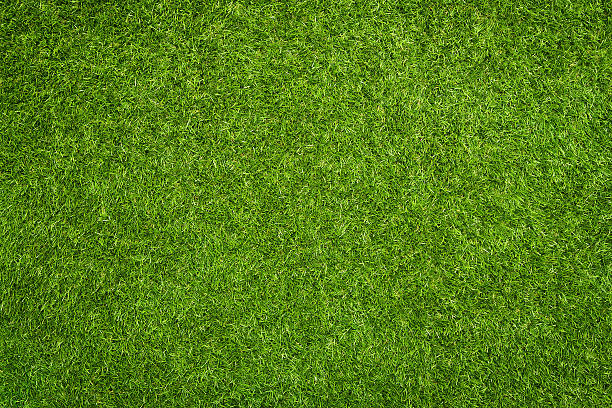 Trusted Artificial Grass Lawn Solutions Services in El Mirage, AZ