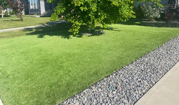Best Artificial Grass Installation Services in Bisbee, AZ