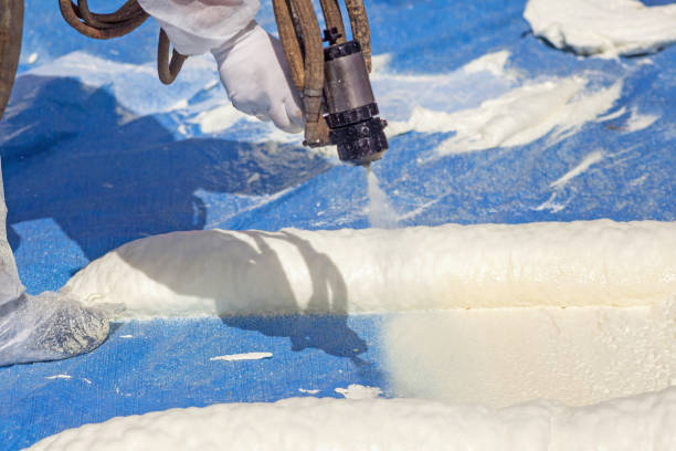 Expert Spray Foam Roofing Solutions in Eureka County, NV