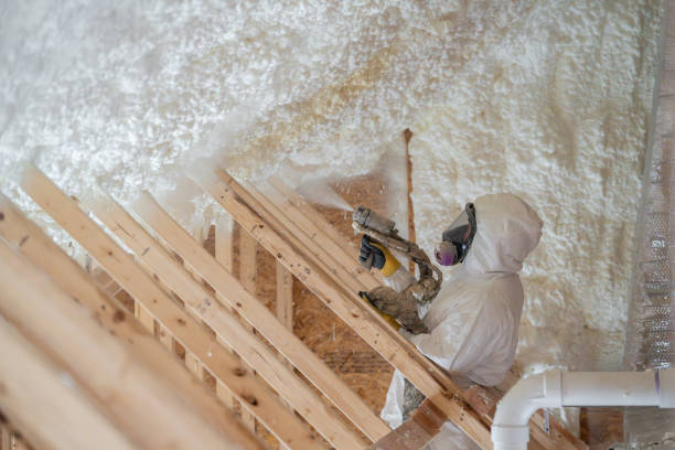 Certified Spray Foam Roofing Contractors in Moapa Valley, NV