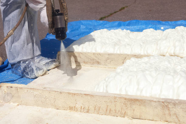 Trusted Spray Foam Roofing Services in Carson City, NV
