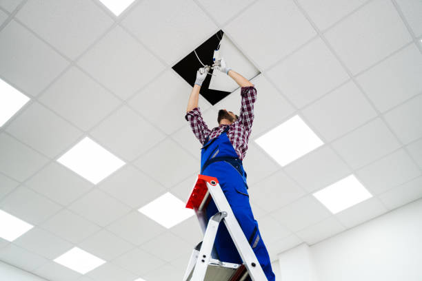Plastervex Ceiling Repair