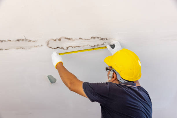 Best Ceiling Drywall and Plaster Repair Solutions in North Bel Air, MD
