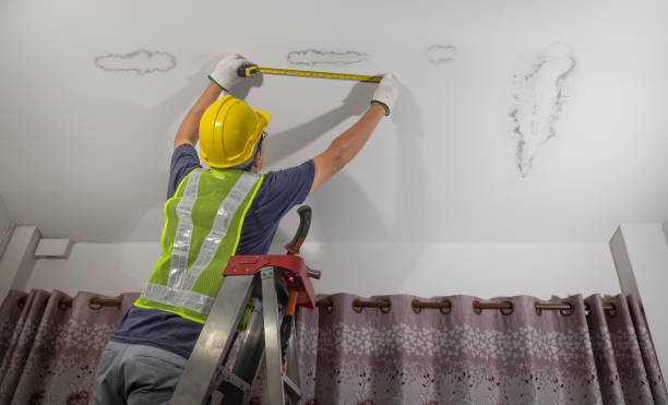 Trusted Ceiling Repair Specialists in Brock Hall, MD