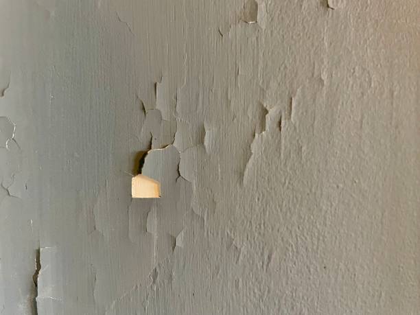 Expert Home Renovation in Bensonhurst, NY