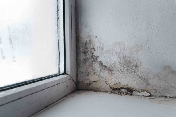 Full-Service Home Remodeling in East Greenbush, NY