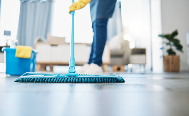 Best Maid Solutions in Lake Summerset, IL