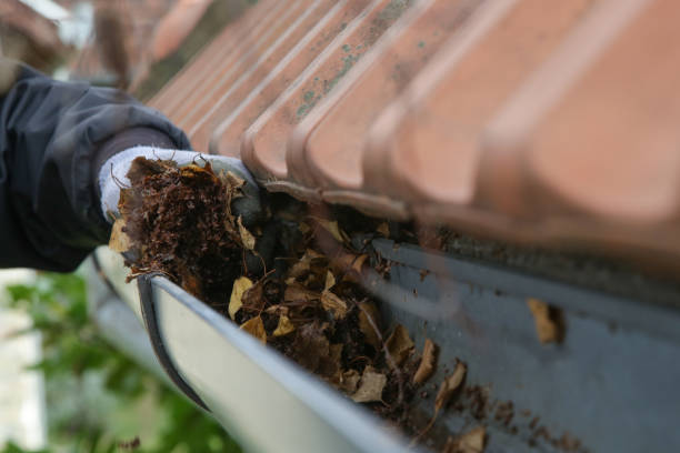 Expert Seamless Gutter Installation in New Buffalo, MI