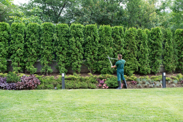 Top Tree Service Services in Beckett Ridge, OH