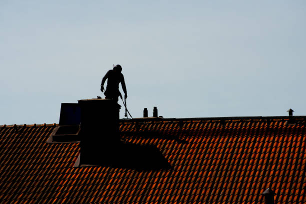 Expert Chimney Cleaning and Inspection Solutions in Franklin, TN