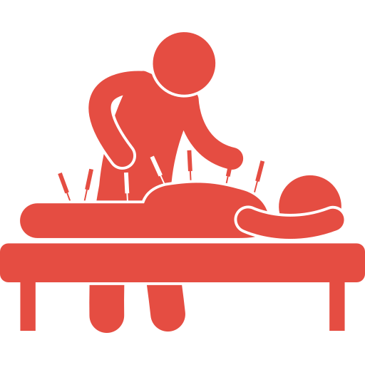 Acupuncture and Traditional Chinese Medicine icon